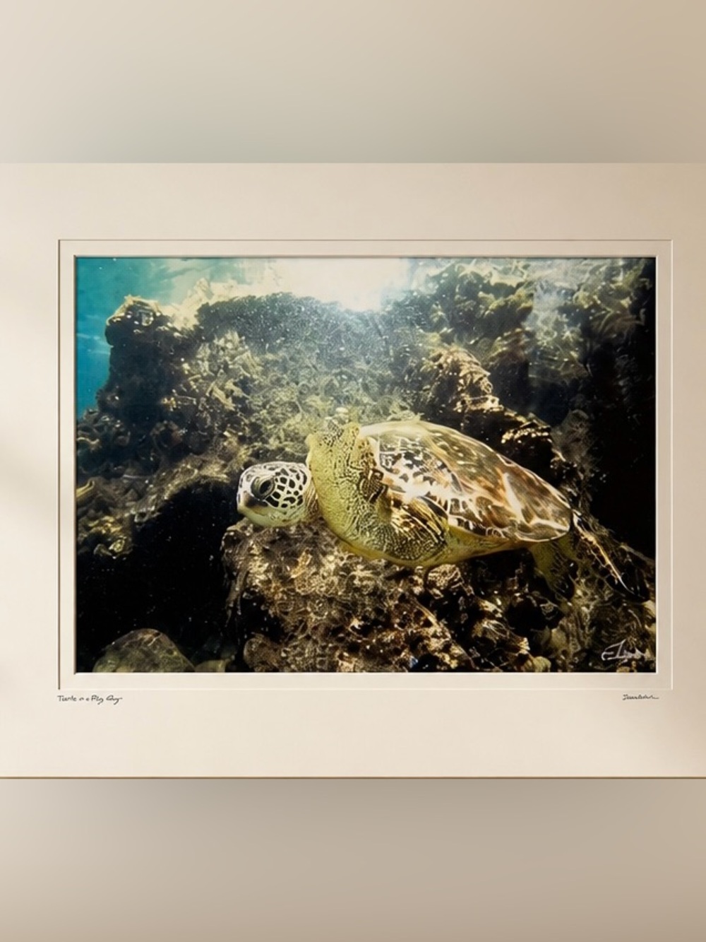 Just a Fly By, Green Honu - Limited Edition Print by Shannon Rae (5/50) 11X14